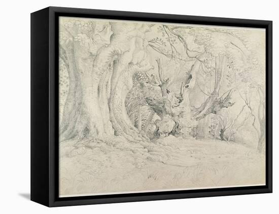 Ancient Trees, Lullingstone Park, 1828 (Graphite on Paper)-Samuel Palmer-Framed Stretched Canvas