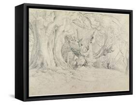 Ancient Trees, Lullingstone Park, 1828 (Graphite on Paper)-Samuel Palmer-Framed Stretched Canvas