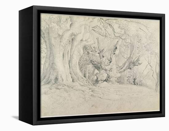 Ancient Trees, Lullingstone Park, 1828 (Graphite on Paper)-Samuel Palmer-Framed Stretched Canvas