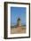 Ancient Windmill along the Beach North of the City-Guido Cozzi-Framed Photographic Print