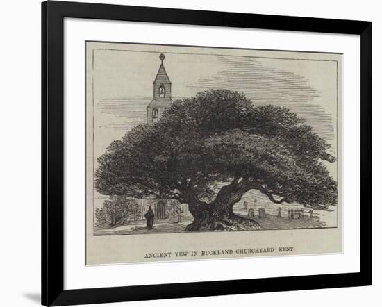 Ancient Yew in Buckland Churchyard, Kent-null-Framed Giclee Print