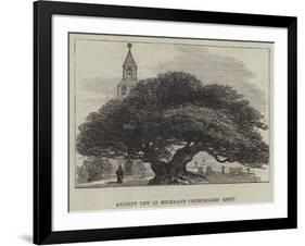 Ancient Yew in Buckland Churchyard, Kent-null-Framed Giclee Print