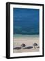 Ancon Beach, Trinidad, Sancti Spiritus Province, Cuba, West Indies, Caribbean, Central America-Jane Sweeney-Framed Photographic Print