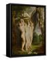 And Jan Brueghel the Younger (1601-1678): The Three Graces-Peter Paul Rubens-Framed Stretched Canvas