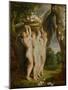 And Jan Brueghel the Younger (1601-1678): The Three Graces-Peter Paul Rubens-Mounted Giclee Print