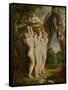 And Jan Brueghel the Younger (1601-1678): The Three Graces-Peter Paul Rubens-Framed Stretched Canvas