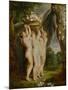 And Jan Brueghel the Younger (1601-1678): The Three Graces-Peter Paul Rubens-Mounted Giclee Print