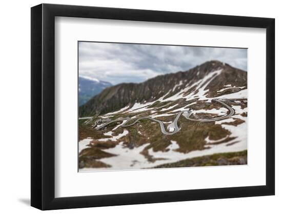Premium Photographic Print, , large
