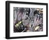 And Only-Dan Monteavaro-Framed Giclee Print