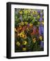 and Paintbrush, Lupine, Balsam Root, Columbia Gorge, Washington, USA-Charles Gurche-Framed Photographic Print