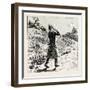 And Step Out Briskly for Doddlecot Railway Station, Three Miles Distant, 1888-null-Framed Giclee Print