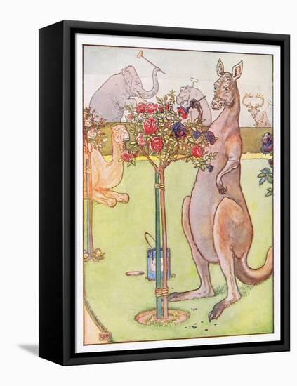 And the Kangaroo Tried to Paint the Roses Blue, Illustration from 'Johnny Crow's Party', c.1930-Leonard Leslie Brooke-Framed Stretched Canvas