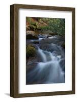 and the water gushes-Viviane Fedieu Danielle-Framed Photographic Print