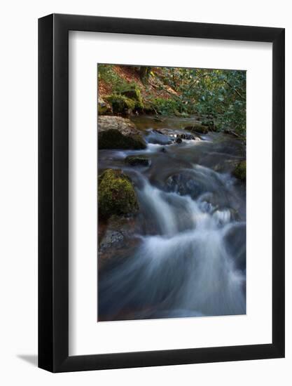 and the water gushes-Viviane Fedieu Danielle-Framed Photographic Print