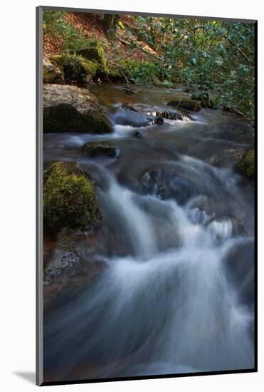 and the water gushes-Viviane Fedieu Danielle-Mounted Photographic Print