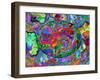 And Then Came Spring, 2013-Jane Tattersfield-Framed Giclee Print