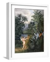 And Then Divine Linnaeus , C.1796-1807-Philip Reinagle-Framed Giclee Print