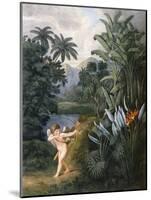 And Then Divine Linnaeus , C.1796-1807-Philip Reinagle-Mounted Giclee Print