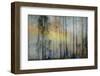 And Then The Sun Stood Still-Jacob Berghoef-Framed Photographic Print