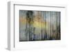 And Then The Sun Stood Still-Jacob Berghoef-Framed Photographic Print