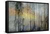 And Then The Sun Stood Still-Jacob Berghoef-Framed Stretched Canvas