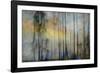 And Then The Sun Stood Still-Jacob Berghoef-Framed Photographic Print