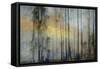 And Then The Sun Stood Still-Jacob Berghoef-Framed Stretched Canvas