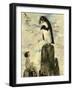 And There He Saw the Last of the Gairfowl, from the Water Babies by Charles Kingsley, Pub. 1916 (Co-Jessie Willcox Smith-Framed Giclee Print