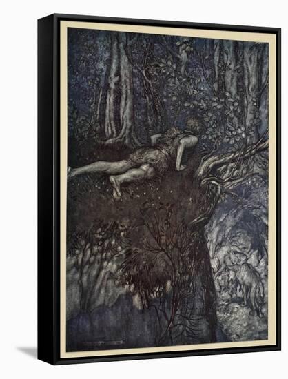 And there I learnt what love was like', illustration from 'Siegfried and the Twilight of Gods'-Arthur Rackham-Framed Stretched Canvas