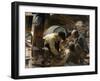 And They Still Say Fish are Expensive!, 1894-Joaquín Sorolla y Bastida-Framed Giclee Print