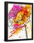 Essential Black