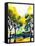 Canvas Black