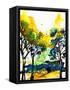 Canvas Black