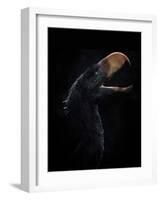 Andalgalornis Steulleti, a Flightless Predatory Bird-null-Framed Art Print