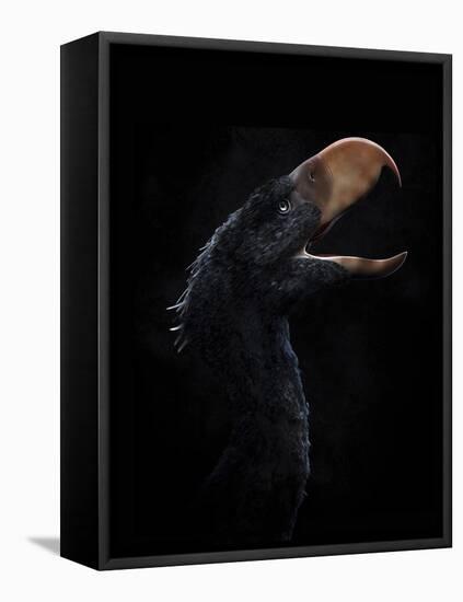 Andalgalornis Steulleti, a Flightless Predatory Bird-null-Framed Stretched Canvas