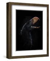 Andalgalornis Steulleti, a Flightless Predatory Bird-null-Framed Art Print