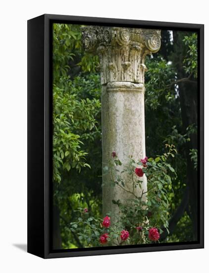 Andalucia, Seville, A Classical Column Surrounded by Roses in Gardens of Alcazar Palace, Spain-John Warburton-lee-Framed Stretched Canvas