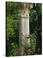 Andalucia, Seville, A Classical Column Surrounded by Roses in Gardens of Alcazar Palace, Spain-John Warburton-lee-Stretched Canvas