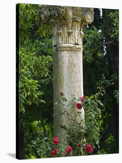 Andalucia, Seville, A Classical Column Surrounded by Roses in Gardens of Alcazar Palace, Spain-John Warburton-lee-Stretched Canvas