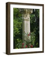 Andalucia, Seville, A Classical Column Surrounded by Roses in Gardens of Alcazar Palace, Spain-John Warburton-lee-Framed Photographic Print