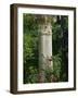 Andalucia, Seville, A Classical Column Surrounded by Roses in Gardens of Alcazar Palace, Spain-John Warburton-lee-Framed Photographic Print