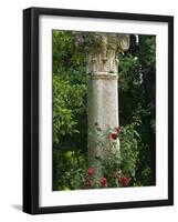 Andalucia, Seville, A Classical Column Surrounded by Roses in Gardens of Alcazar Palace, Spain-John Warburton-lee-Framed Photographic Print