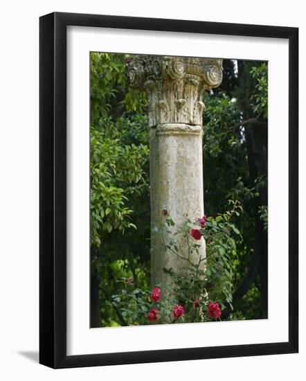 Andalucia, Seville, A Classical Column Surrounded by Roses in Gardens of Alcazar Palace, Spain-John Warburton-lee-Framed Photographic Print