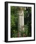 Andalucia, Seville, A Classical Column Surrounded by Roses in Gardens of Alcazar Palace, Spain-John Warburton-lee-Framed Photographic Print