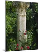 Andalucia, Seville, A Classical Column Surrounded by Roses in Gardens of Alcazar Palace, Spain-John Warburton-lee-Mounted Photographic Print
