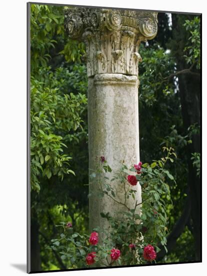 Andalucia, Seville, A Classical Column Surrounded by Roses in Gardens of Alcazar Palace, Spain-John Warburton-lee-Mounted Photographic Print
