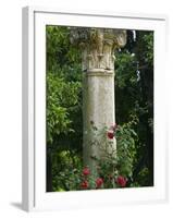 Andalucia, Seville, A Classical Column Surrounded by Roses in Gardens of Alcazar Palace, Spain-John Warburton-lee-Framed Photographic Print