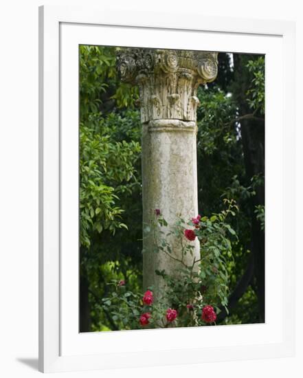 Andalucia, Seville, A Classical Column Surrounded by Roses in Gardens of Alcazar Palace, Spain-John Warburton-lee-Framed Photographic Print