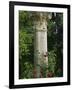 Andalucia, Seville, A Classical Column Surrounded by Roses in Gardens of Alcazar Palace, Spain-John Warburton-lee-Framed Photographic Print