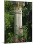 Andalucia, Seville, A Classical Column Surrounded by Roses in Gardens of Alcazar Palace, Spain-John Warburton-lee-Mounted Photographic Print